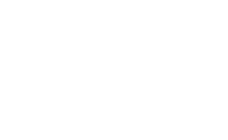 Takt und Verstand Store