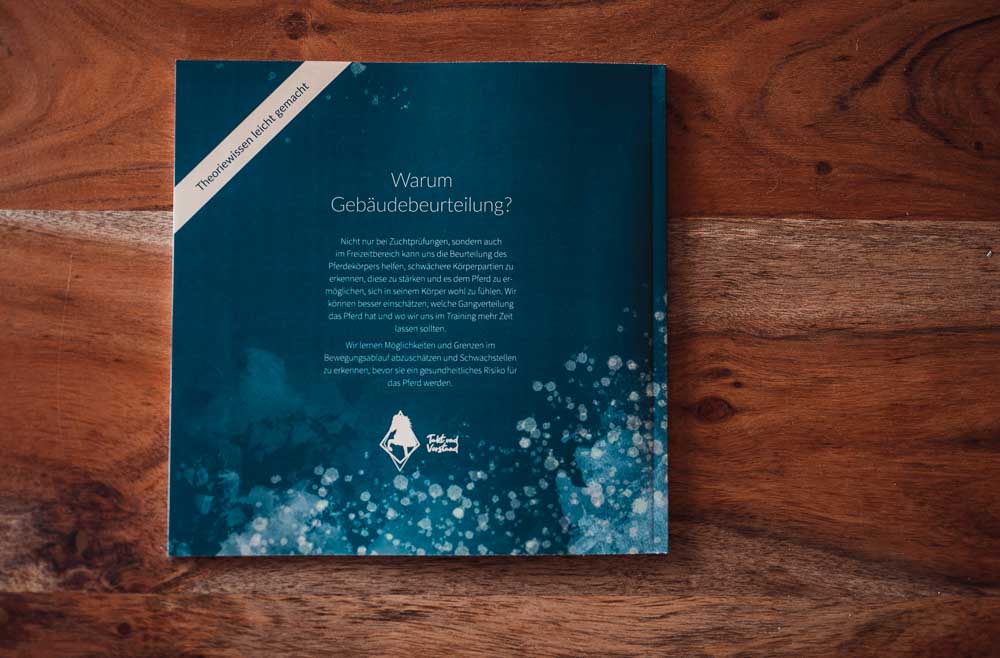 Der kleine Reitlehrer - das Gebäude des Islandpferdes